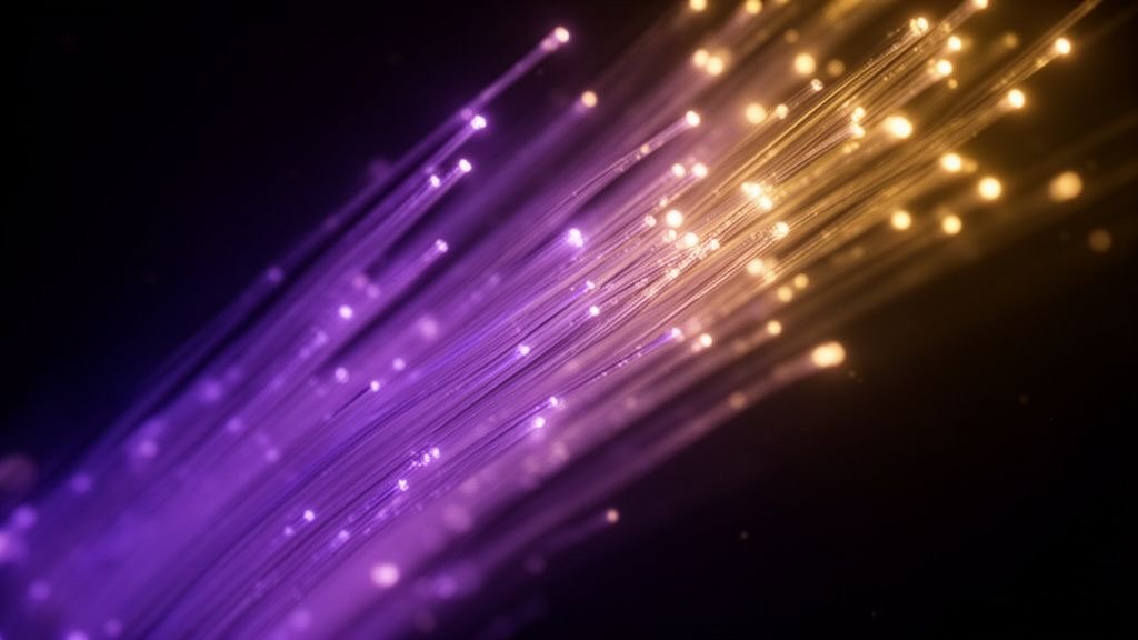Glasvezelkabels met lichtstralen die snelle data voor Pandora IPTV voorstellen